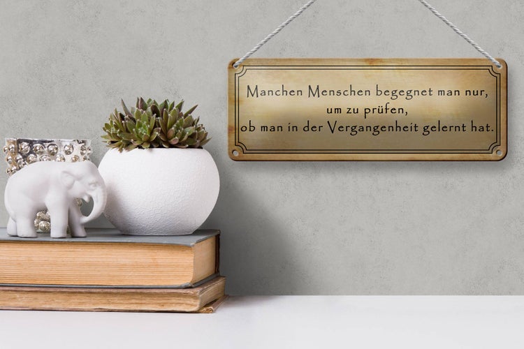 Blechschild Spruch 27x10cm manche Menschen begegnet man nur Dekoration