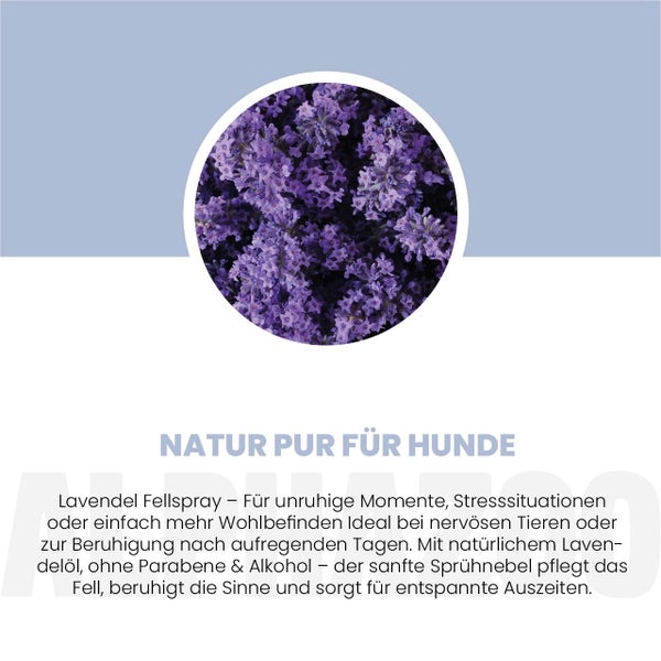 Lavendelblüten für Hundepflegeprodukte