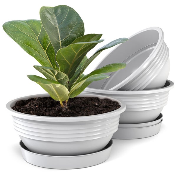 Plastard Pflanzschale 3er-Set in Weiß Ø 32 x 12,5 cm mit Untersetzer – wetterfest, frostbeständig, ideal für Garten, Balkon & Küche