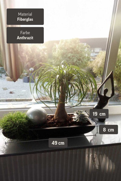 Längliches Pflanzgefäß aus Fiberglas mit den Maßen 49 mal 19 mal 8 Zentimeter, bepflanzt auf einer Fensterbank.