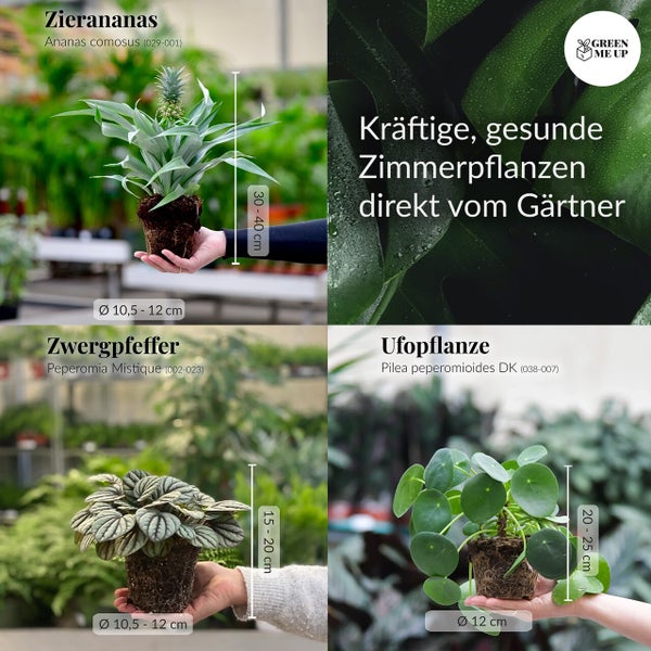Einfach Tierlieb