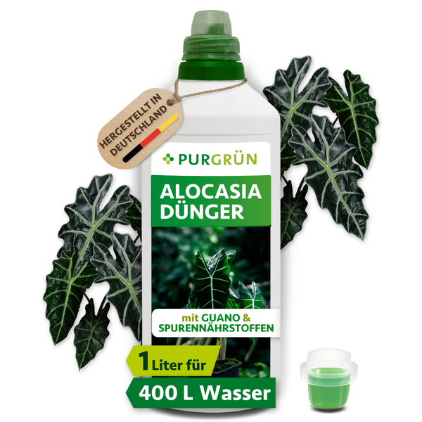 Purgrün Alocasia Dünger mit Guano und Spurennährstoffen in einer 1 Liter Flasche, ausreichend für 400 Liter Wasser, hergestellt in Deutschland.