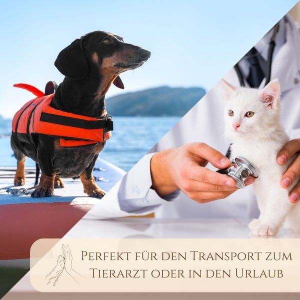 Collage: Dackel mit Schwimmweste auf dem Wasser, Tierarzt untersucht weiße Katze, Text: Perfekt für den Transport zum Tierarzt oder in den Urlaub