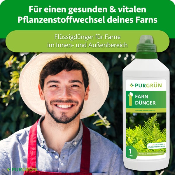 Purgrün Farndünger Flüssigdünger 1 Liter Flasche für Farne im Innenbereich und Außenbereich mit Spurennährstoffen
