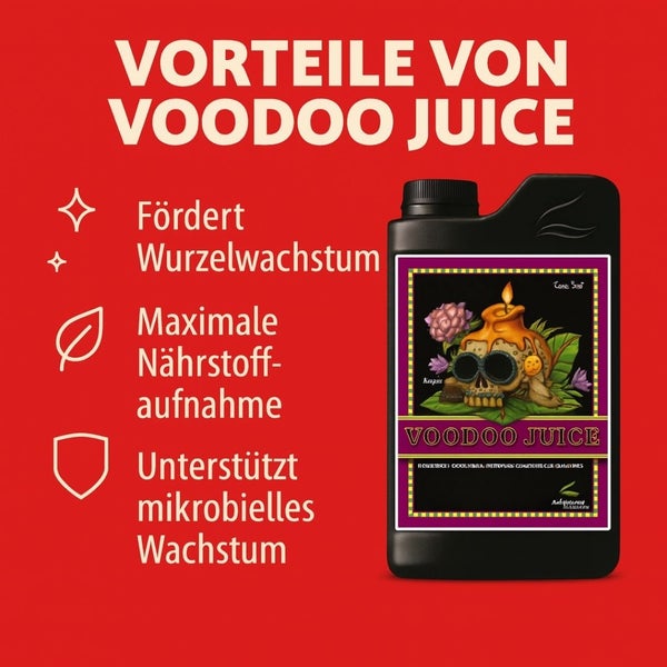 Voodoo Juice Pflanzenhilfsmittel zur Förderung des Wurzelwachstums und der Nährstoffaufnahme in einer Flasche