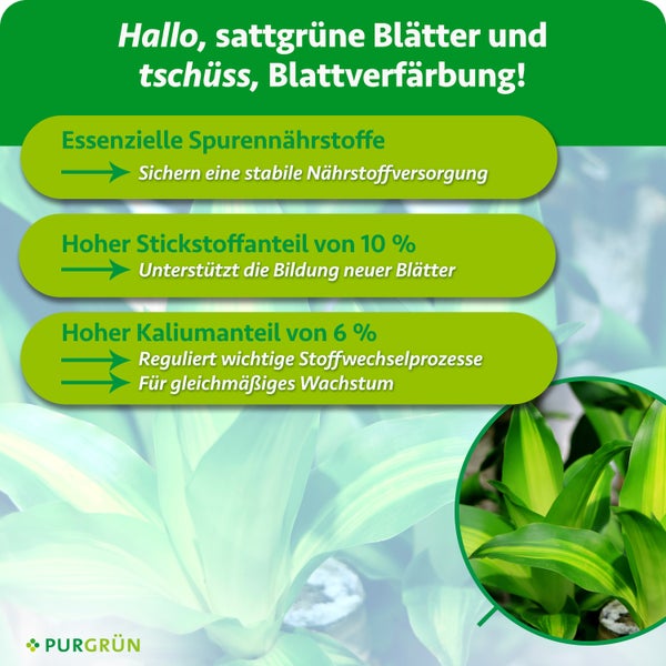 Infografik zum Purgrün Pflanzendünger mit Angaben zu Spurennährstoffen, Stickstoff und Kalium für gesundes Blattwachstum von Zimmerpflanzen.