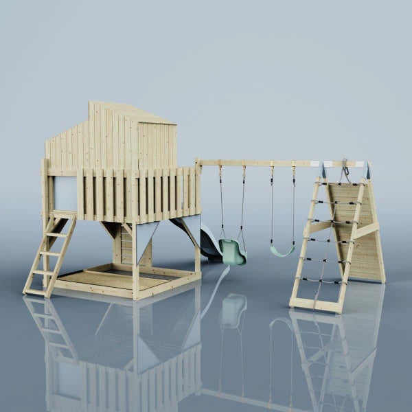 Holunderbeeren an einem Holunderstrauch