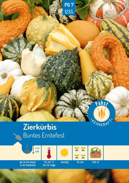 Samentüte für Zierkürbis Buntes Erntefest mit verschiedenen Zierkürbissen, Pabst Keimkraft Logo und Hinweisen zu Aussaat, Standort und Ernte.