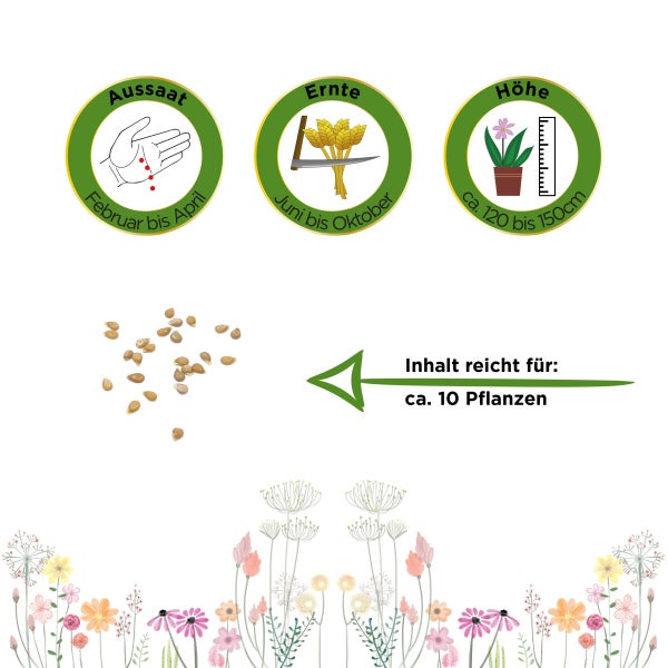 Stabtomate Supwersweet 100 F1 Samen von Deine Gartenwelt