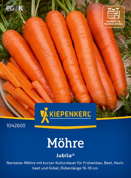 Saatgut Möhre Jubila für Hochbeet und Kübel, Nantaise Möhre mit 16 bis 18 Zentimeter Länge.
