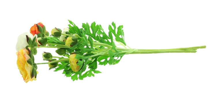 FRANK FLECHTWAREN|Kunstblume Ranunkeln, 3er Set, Höhe 66 cm, KUNSTSTOFF, METALL