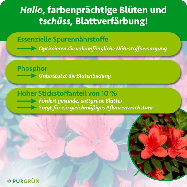 Montagekeil 70154 von BGS technic aus weißem Kunststoff zum Ausrichten und Fixieren.