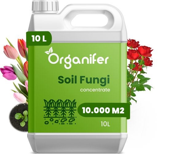 Soil Fungi Bodenpilz-Konzentrat - 10 l für 10.000 m2 - Organifer