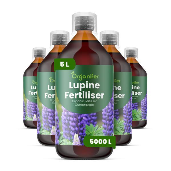 Fünf Flaschen Organifer Lupinendünger, je 5 Liter, organisches Düngerkonzentrat.