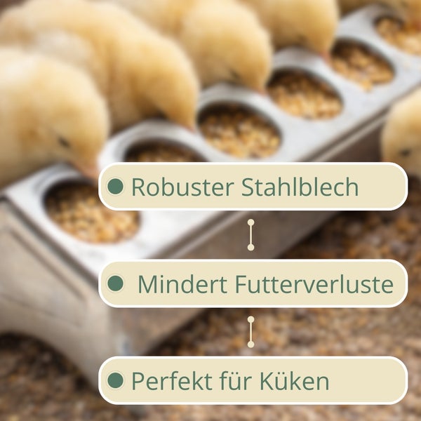Kükenfutterautomat aus Stahlblech mit reduzierten Futterverlusten, ideal für Küken