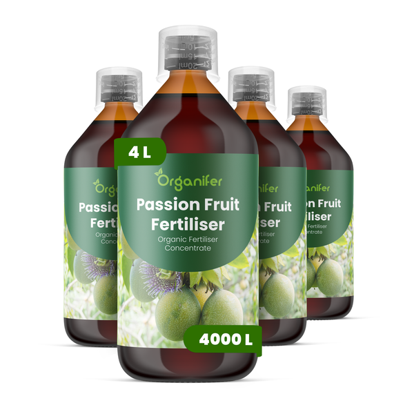 Vier Flaschen Organifer organischer Passionsfrucht-Dünger-Konzentrat, insgesamt 4 Liter für bis zu 4000 Liter Düngemittel.