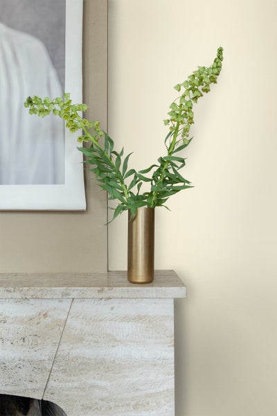Dekorative Grünpflanze in goldener Vase auf einem Kaminsims