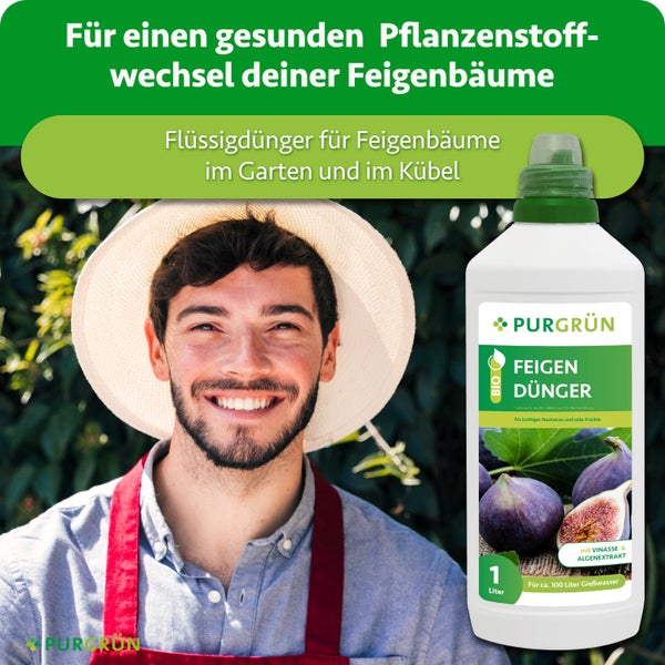 Eine Flasche Purgrün Bio Feigendünger mit einem Liter Inhalt und ein lächelnder Gärtner mit Hut vor einem Gartenhintergrund.