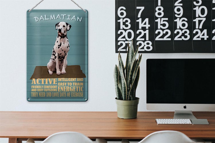 Blechschild Spruch 20x30cm Dalmatian Hund active and easy