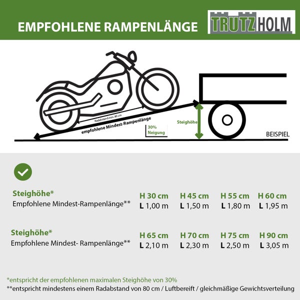 TRUTZHOLM 2 x Auffahrrampen 250 cm Traglast 1000 kg Alu grau gelocht Motorradrampen Verladerampen