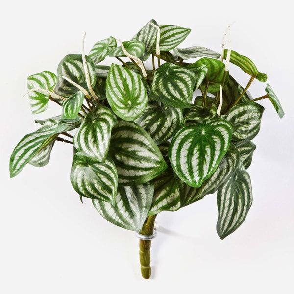 Künstliche Peperomia mit grün-silbern gestreiften Blättern und weißen Blüten.