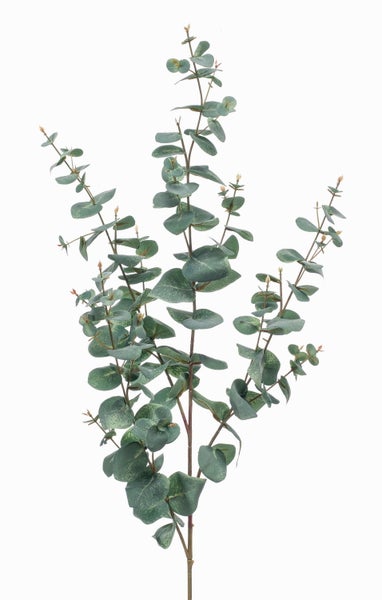 Künstlicher Eukalyptus-Zweig mit detailreichen runden Blättern und braunen Stielen für die Dekoration.