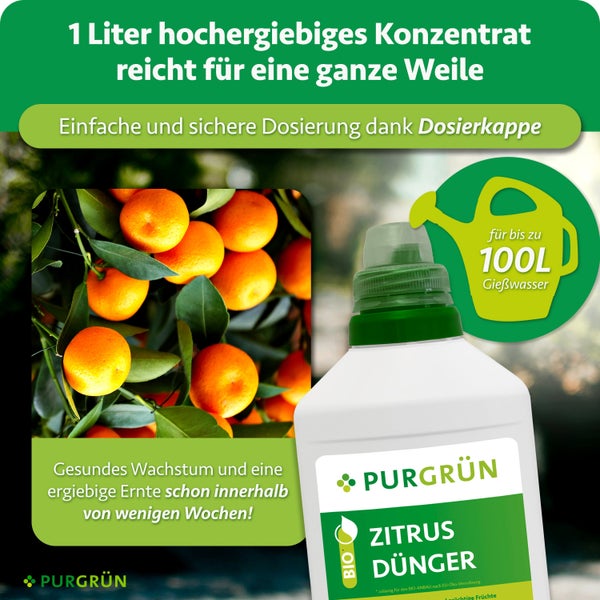Purgrün Zitrusdünger Konzentrat in einer 1 Liter Flasche mit Dosierkappe für bis zu 100 Liter Gießwasser für gesundes Pflanzenwachstum.