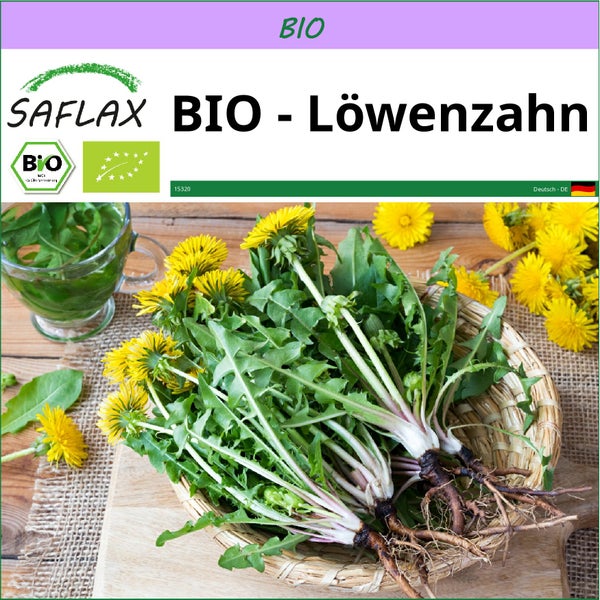 SAFLAX  - BIO - Löwenzahn - Taraxacum officinale - 400 Samen