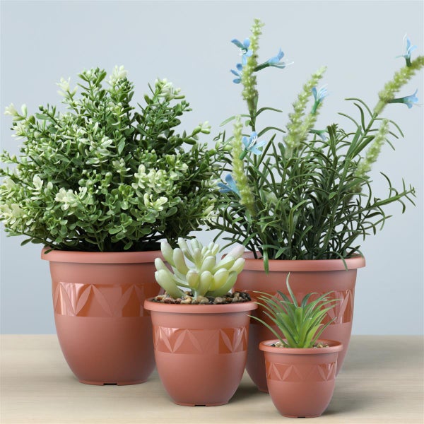 Verschiedene Pflanzen in Töpfen unterschiedlicher Größe mit geometrischem Muster