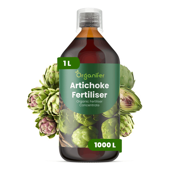 Organifer Artischockendünger, organisches Düngerkonzentrat, 1 Liter Flasche für 1000 Liter, mit Artischocken, Organifer Logo.