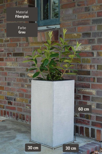Quadratischer Pflanzkübel aus Fiberglas in Grau, Maße 30 mal 30 mal 60 Zentimeter.