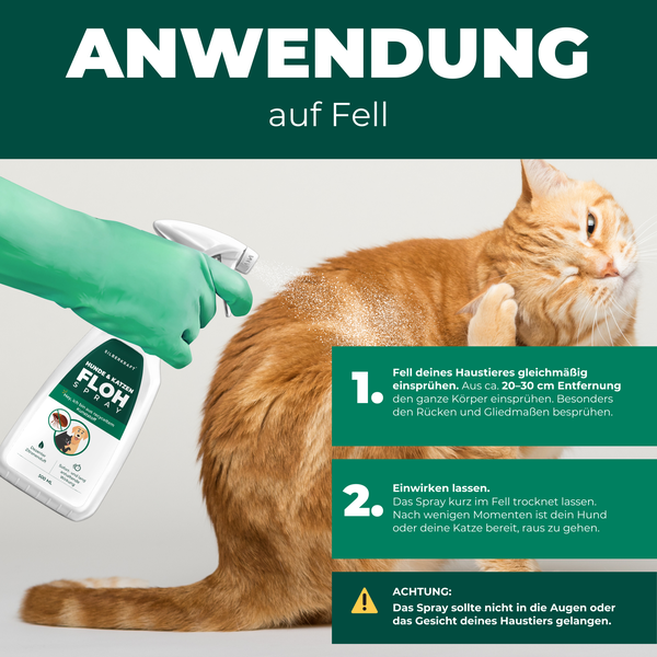 Silberkraft Flohspray für Hunde und Katzen 500 ml, Repellent mit starker Wirkung, Anwendung bei akutem Befall, Flöhe aus dem Fell fernhalten, Made in Germany