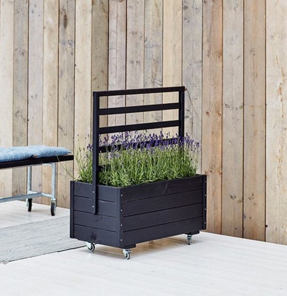 Raumdekoration mit Bärenmotiv-Tapete, Kleiderständer, Körben und Textilien