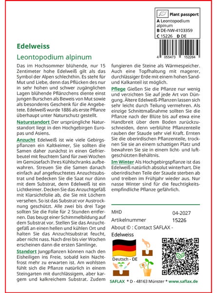 SAFLAX  - Edelweiss - Leontopodium alpinum - 500 Samen