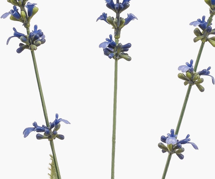 Künstlicher Pflanzenzweig mit gezackten grünen Blättern.