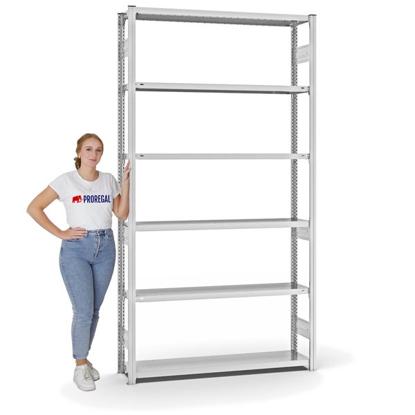 PROREGAL Fachbodenregal Stecksystem T-Profil Medium-Duty Grundregal HxBxT 250 x 130 x 30 cm 6 Ebenen Fachlast 200 kg Beidseitig Nutzbar Lichtgrau