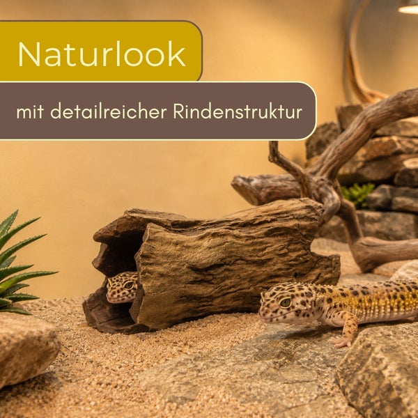 Terrarium-Dekoration in Form einer hohlen Baumrinde mit zwei Leopardgeckos in einer natürlichen Wüstenlandschaft mit Sand und Steinen.