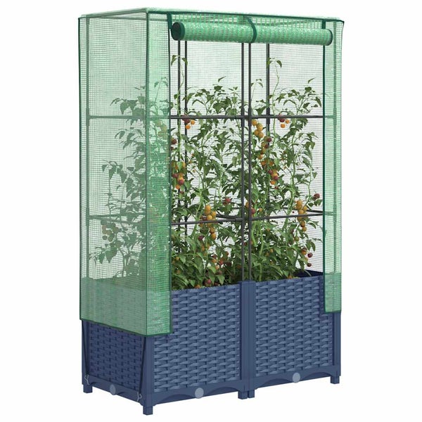 Grünes Tomatengewächshaus mit dunkelblauem Pflanzkasten in Flechtoptik und transparenter Gitternetzfolie.