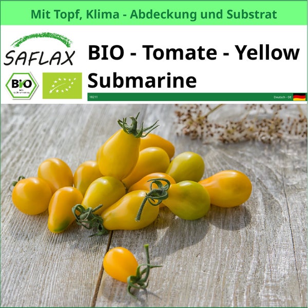 SAFLAX Garden to go - BIO - Tomate - Yellow Submarine - Solanum lycopersicum - 10 Samen - Mit Topf, Klima - Deckel und Anzuchtsubstrat