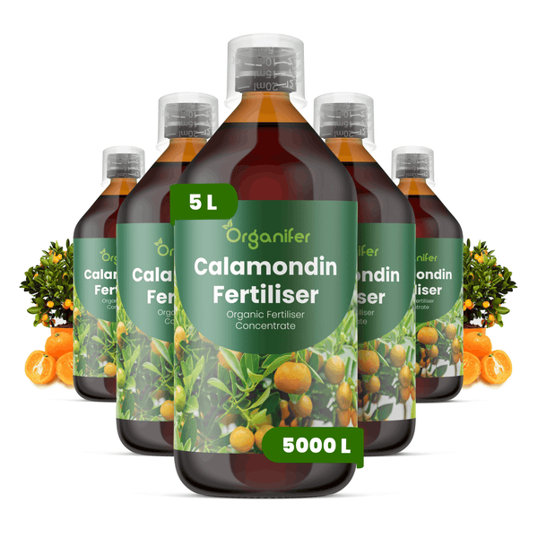 Fünf Flaschen Organifer Calamondin Dünger, organisches Düngerkonzentrat, fünf Liter für fünftausend Liter.