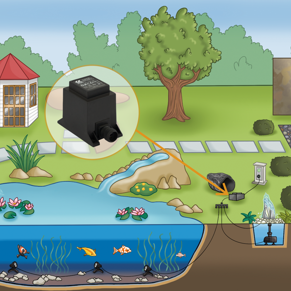 Illustration eines organisierten Gartenteich-Systems mit Unterwasserbeleuchtung, Pumpe, Springbrunnen und Detailansicht des Transformators.
