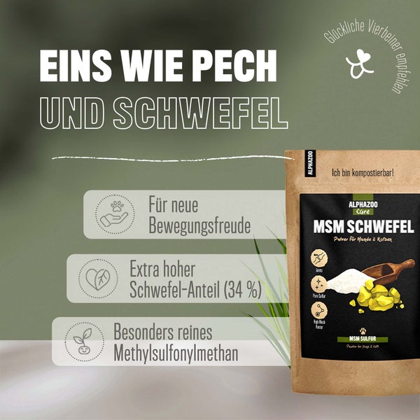 ALPHAZOO MSM Pulver 250g für Hunde und Katzen I Organischer Schwefel für Agility