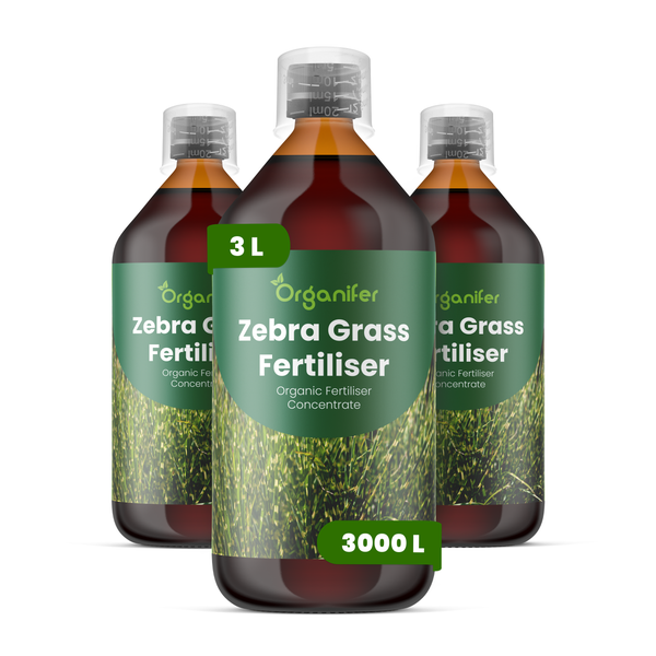 Organifer Zebragras Dünger, drei Flaschen à ein Liter organisches Flüssigdünger-Konzentrat, ausreichend für circa 3000 Liter.