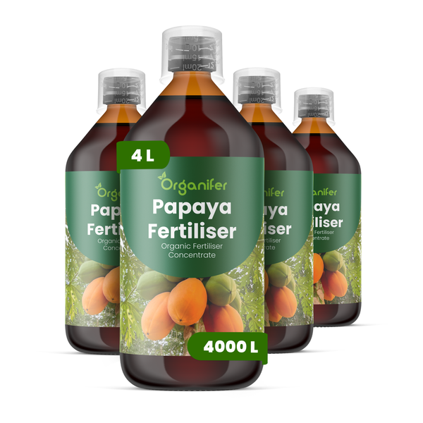 Organifer Papaya-Flüssigdünger im Vergleich für süße Früchte, starke Stämme und gesunde Wurzeln mit vinassefreier Formel.
