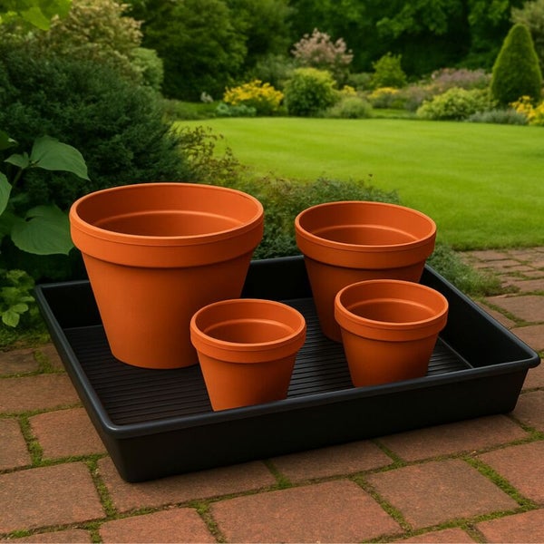 Vier terrakottafarbene Blumentöpfe in verschiedenen Größen stehen in einer schwarzen Kunststoffwanne auf einer Steinterrasse im Garten.