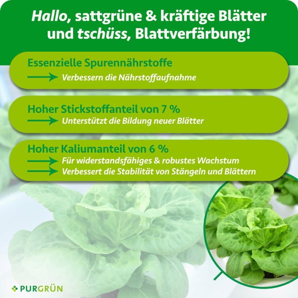 Infografik für Purgrün Pflanzendünger mit Details zu Spurennährstoffen, 7 Prozent Stickstoff und 6 Prozent Kalium für gesundes Wachstum. Purgrün Logo.