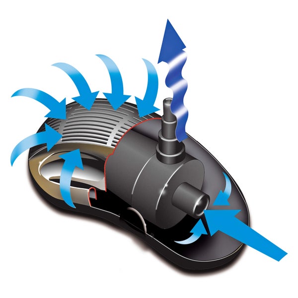 Schnittdarstellung eines Teichfilters mit Darstellung des Wasserdurchflusses