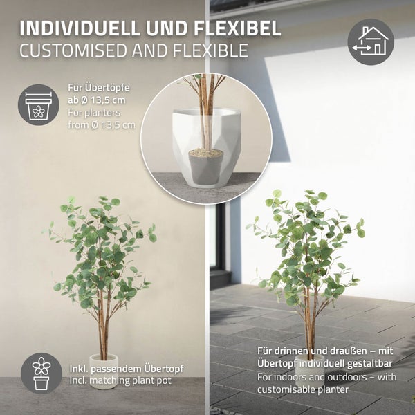 Dekorative Eukalyptuspflanze im passenden Pflanztopf für den Innen- und Außenbereich