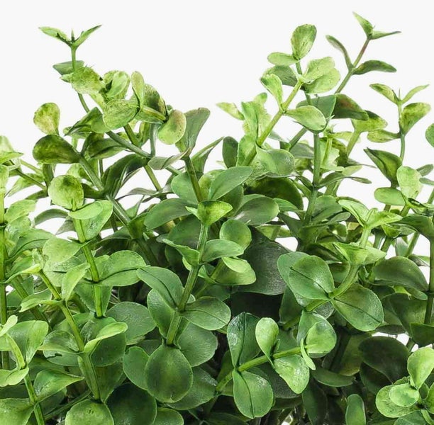 Detailaufnahme einer künstlichen Pflanze mit grünen ovalen Blättern.