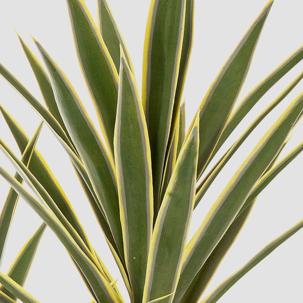 Künstliche Monstera Pflanze mit großen grünen Blättern und charakteristischen Blatteinschnitten.